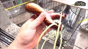 国产弹弓评测视频网站,揭秘热门弹弓性能与性价比