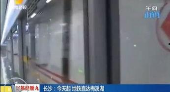 女主播在国产线视频,女主播的国产线视频传奇