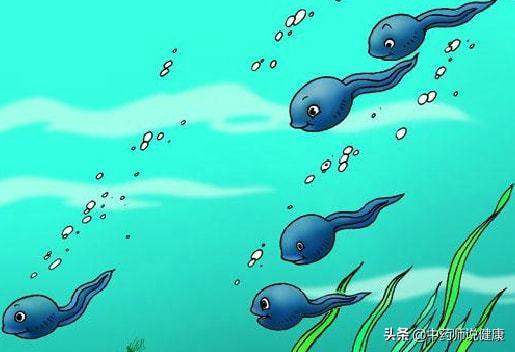 好看的国产蝌蚪视频,探寻自然之美，感受生命律动