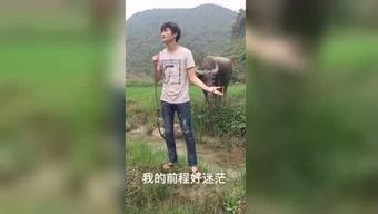 国产福利视频污午夜,揭秘网络暗流涌动的秘密世界