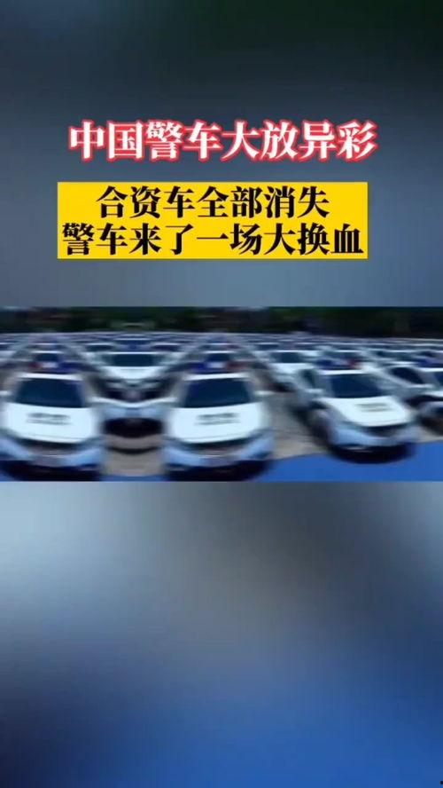 国产车放异彩视频