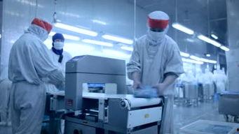 国产食品加工视频大全最新,视频大全带你领略匠心独运