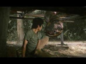 国产电影巨蟒解说视频